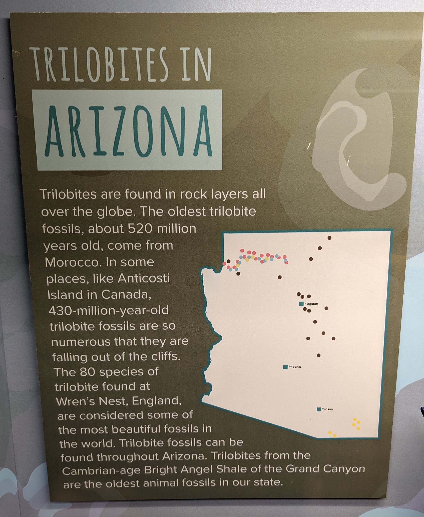 Signage on Trilobites in Arizona