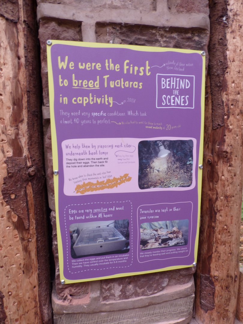 Signage on Tuatara Enclosure