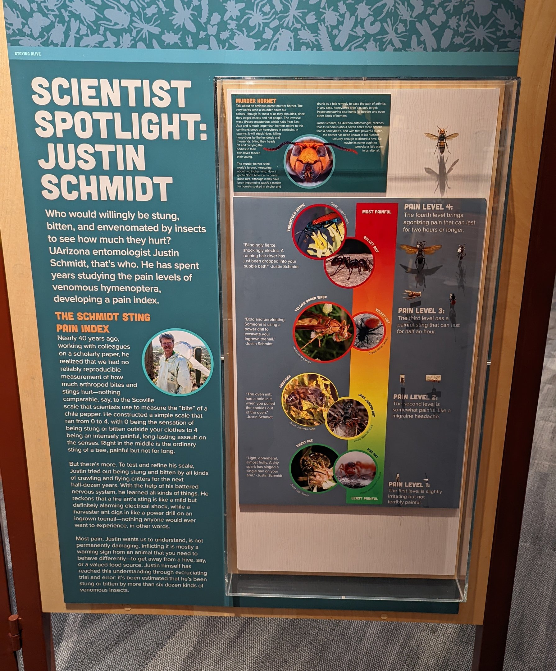 Signage on University of Arizona Entomologist, Justin Schmidt