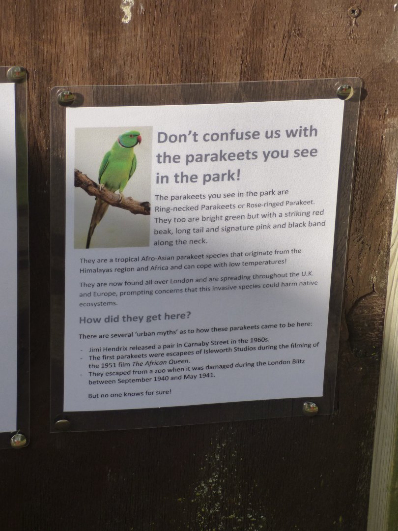 Signage on Yellow-fronted Parakeet Aviary
