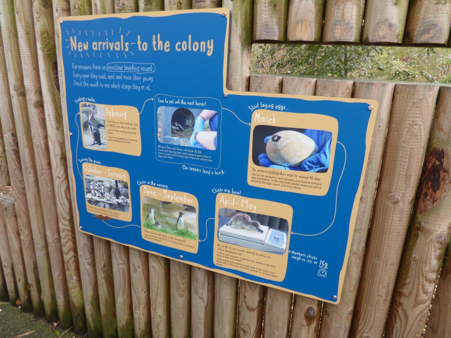 Signage outside Penguin Rock