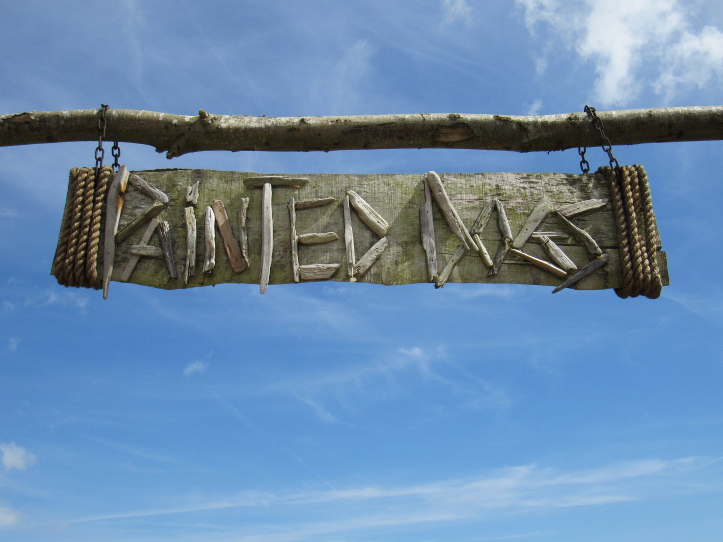 Signage - Painted Dog