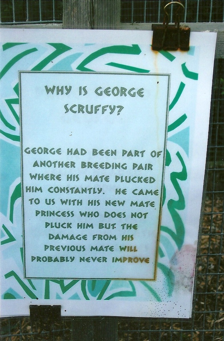 Signage re George 5th September 2011