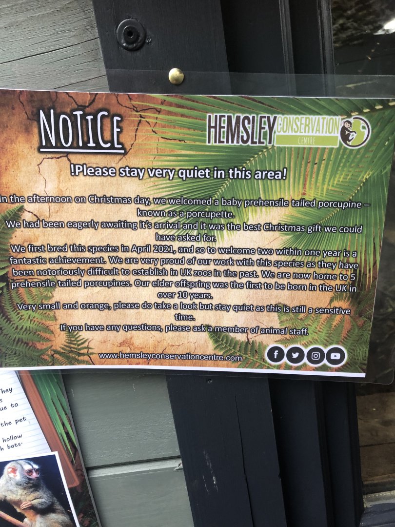 Signage regarding Brazilian Porcupine birth 03/01/22