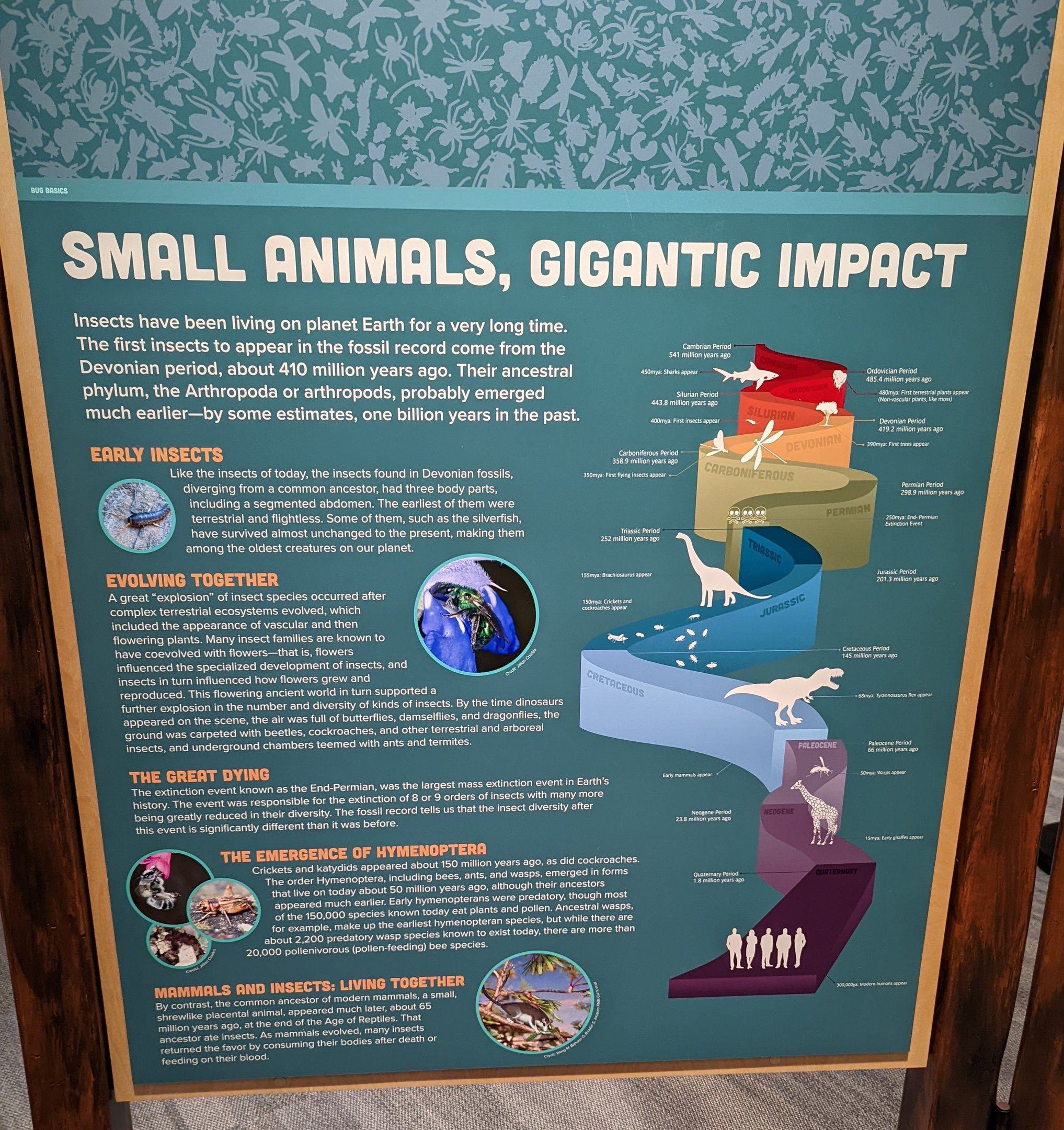 Signage: Small Animals Gigantic Impact