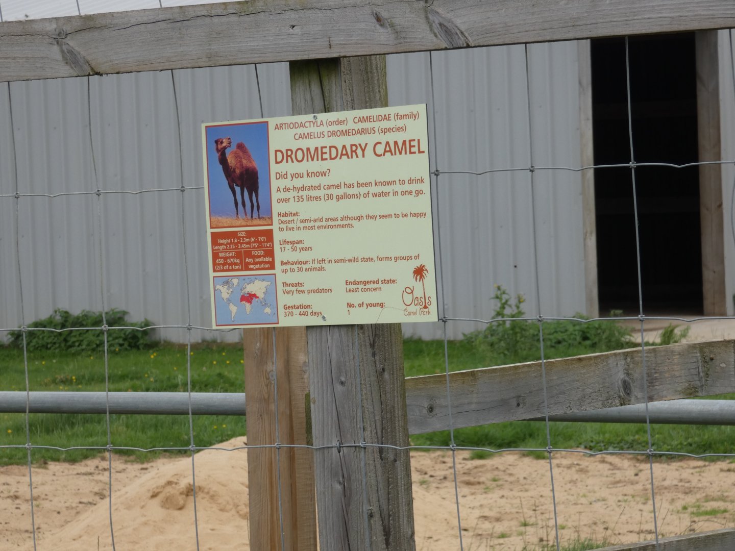 Signage style (Camel Park Oasis)