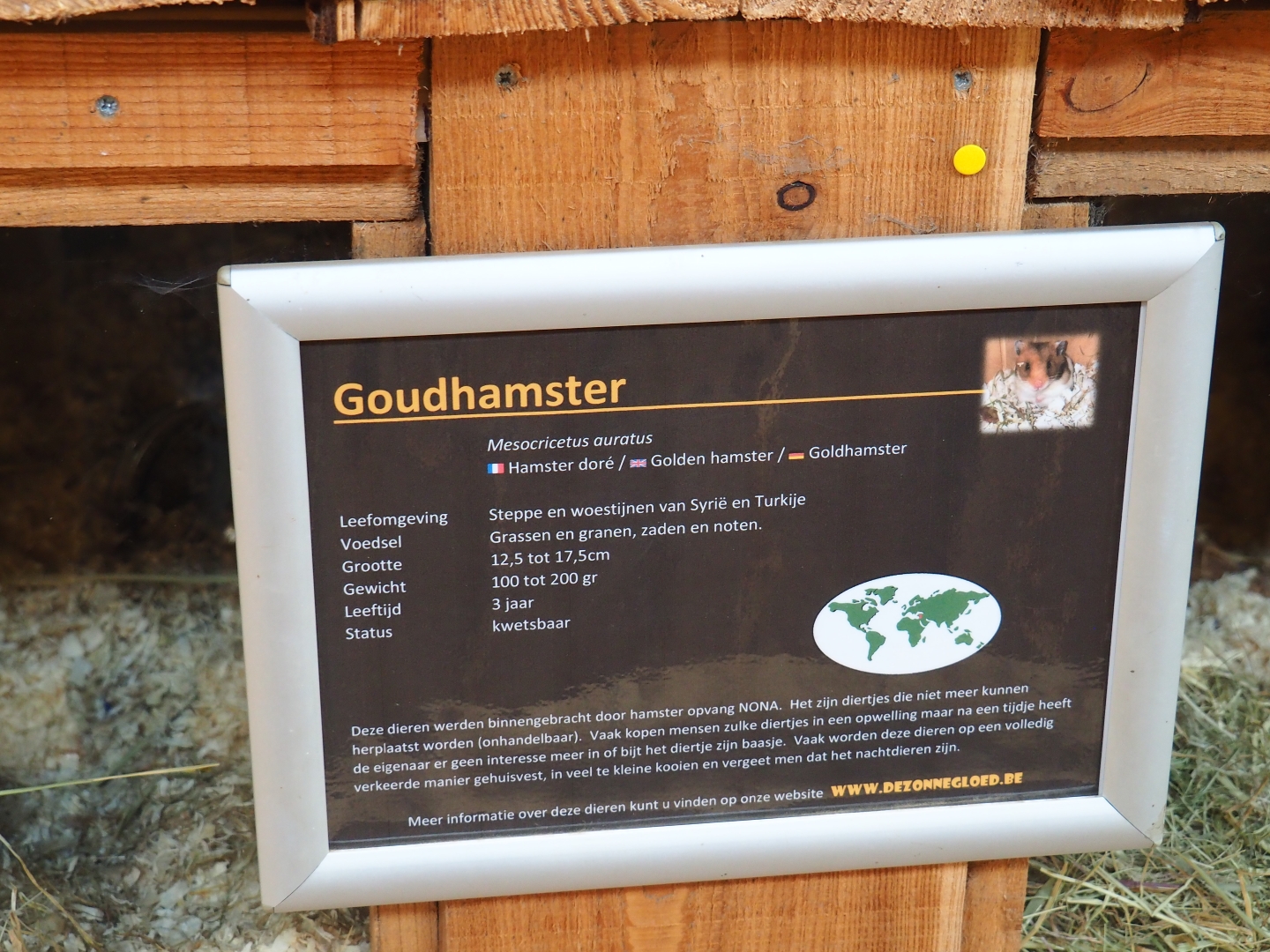 Signage style - Golden hamster sign