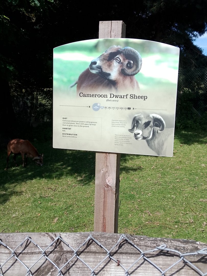 Signage style in African village 3/9/23