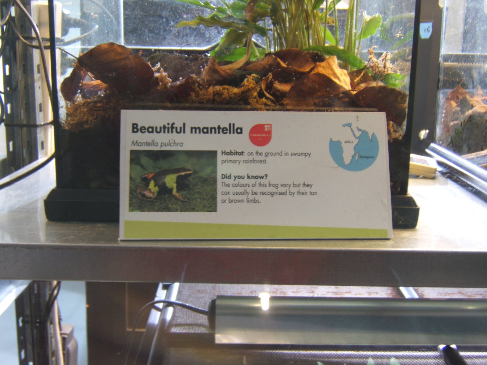 Signage style in Amphibian breeding centre