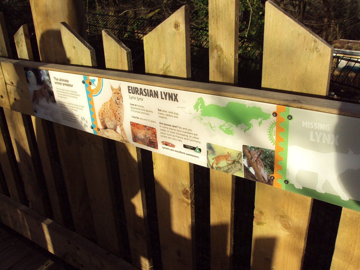 Signage style in Bear woods 03/01/2020