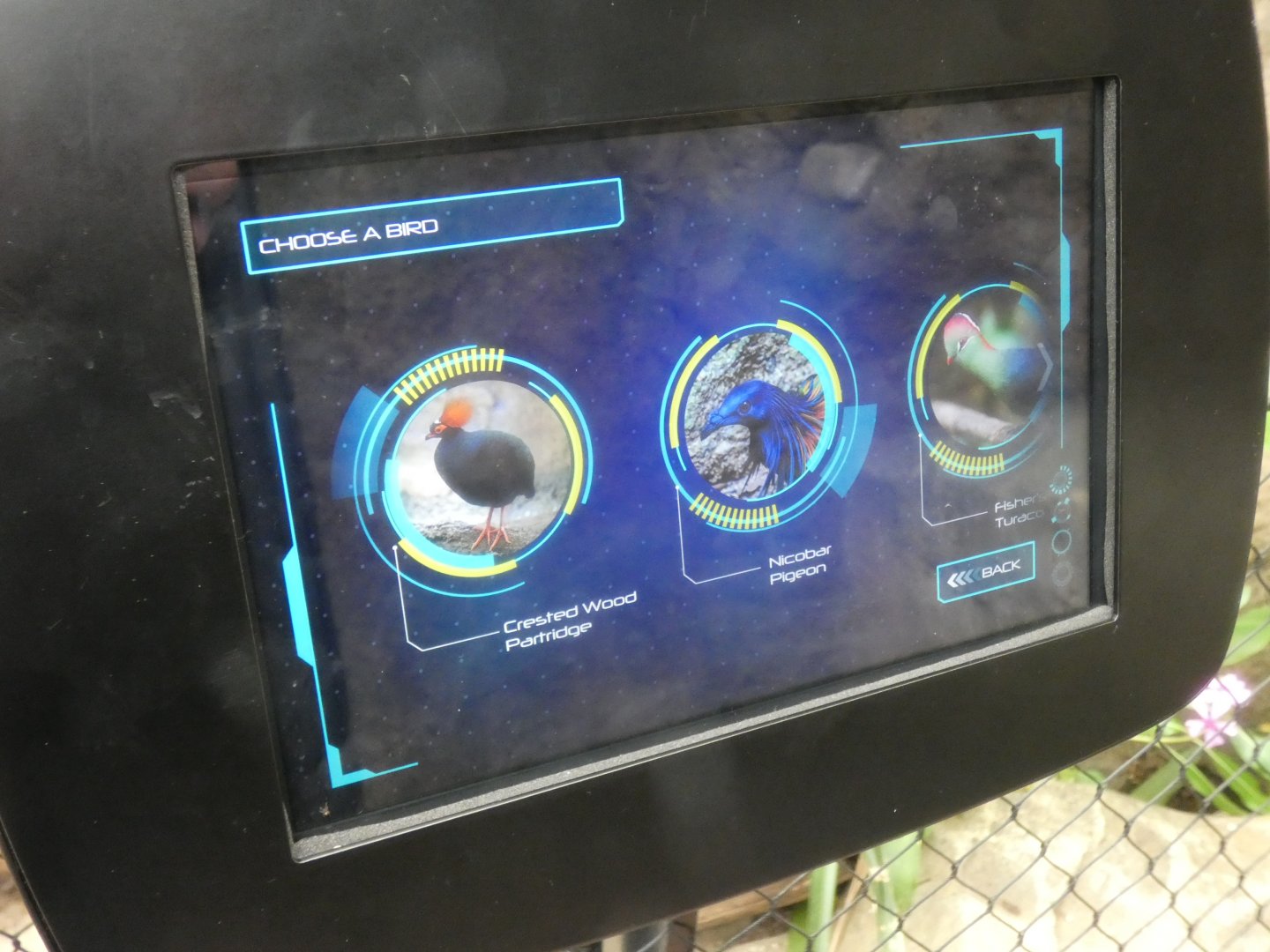 Signage style in new Tropical House