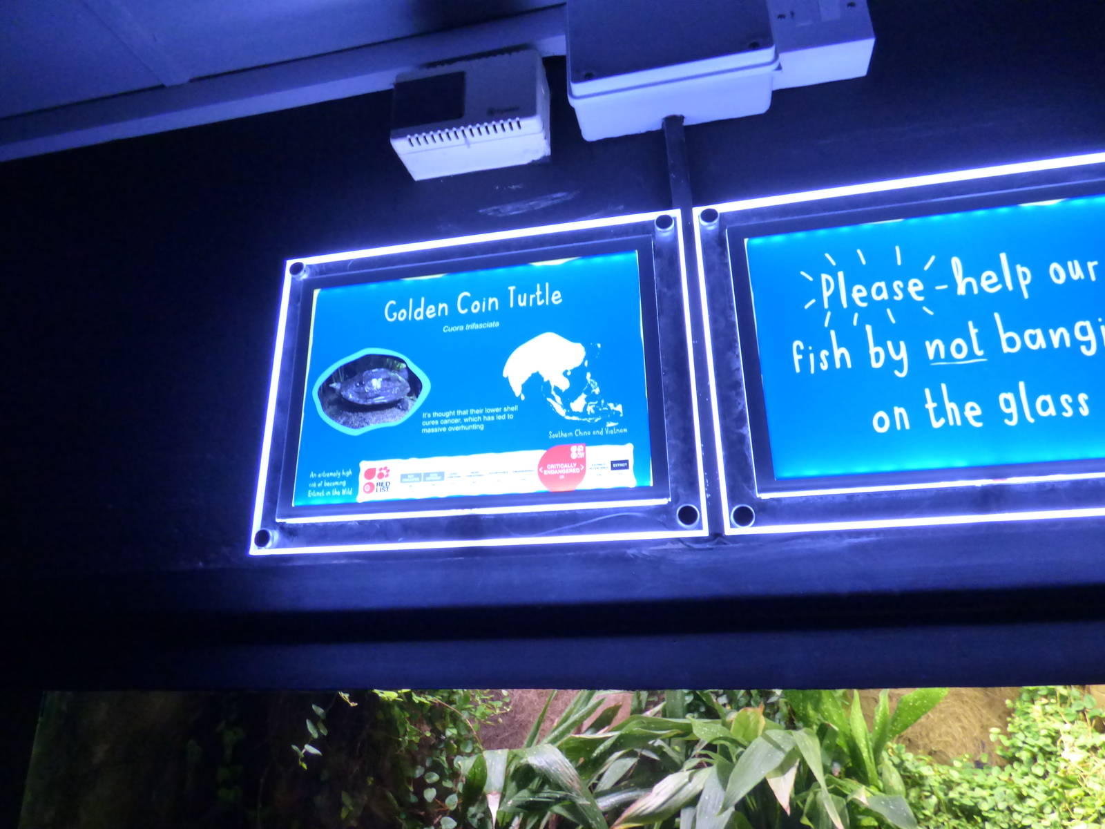Signage Style in Refurbised Aquarium