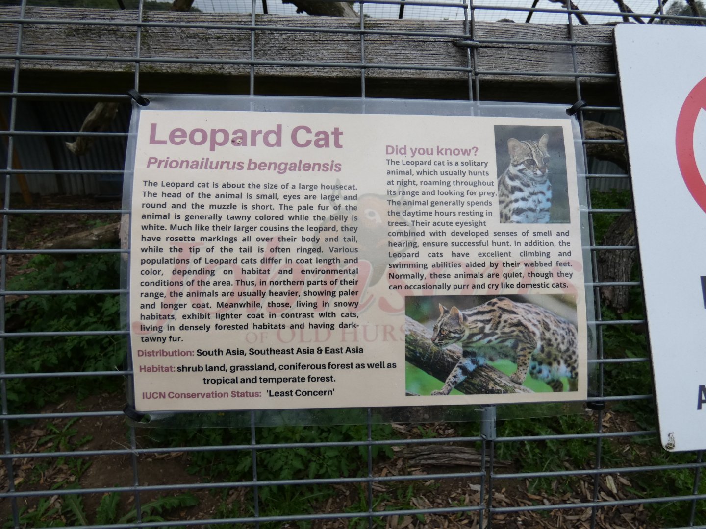 Signage style (Johnson's of Old Hurst)