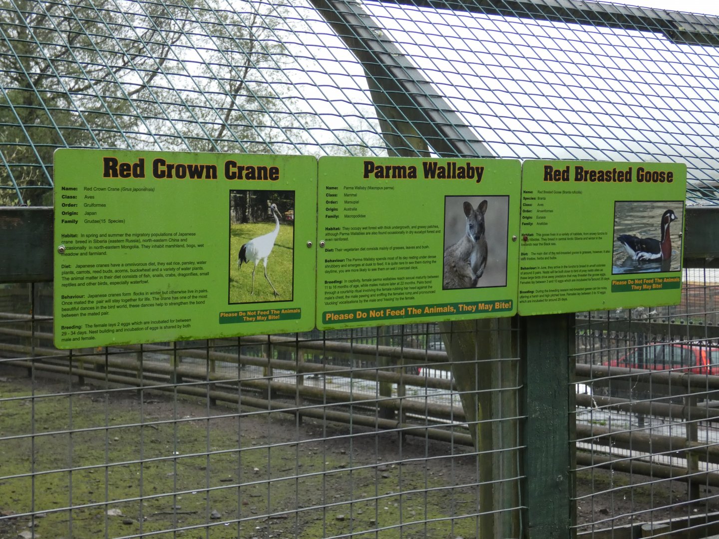 Signage style (Pen-y-cae Inn Zoo)