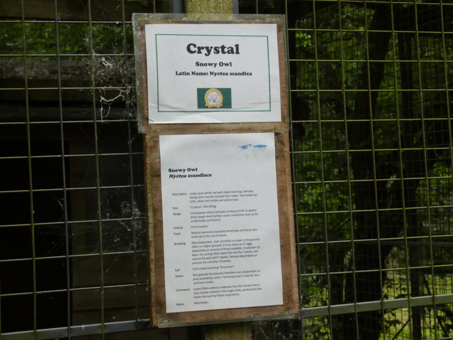 Signage style (Rutland Falconry Centre)