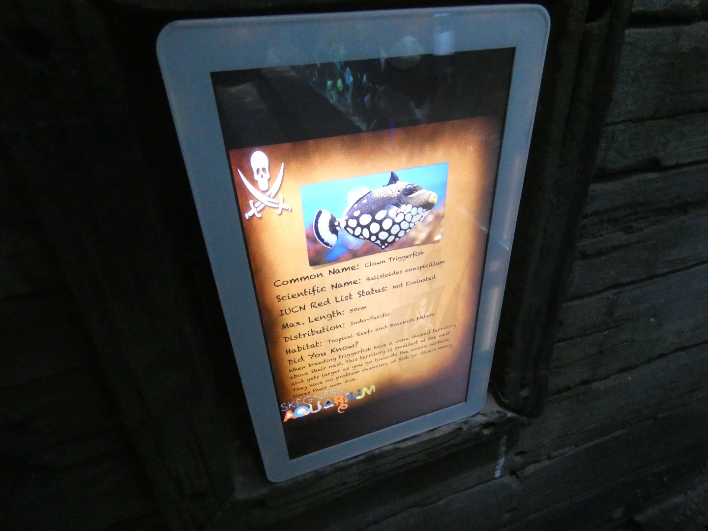 Signage style - Skegness Aquarium