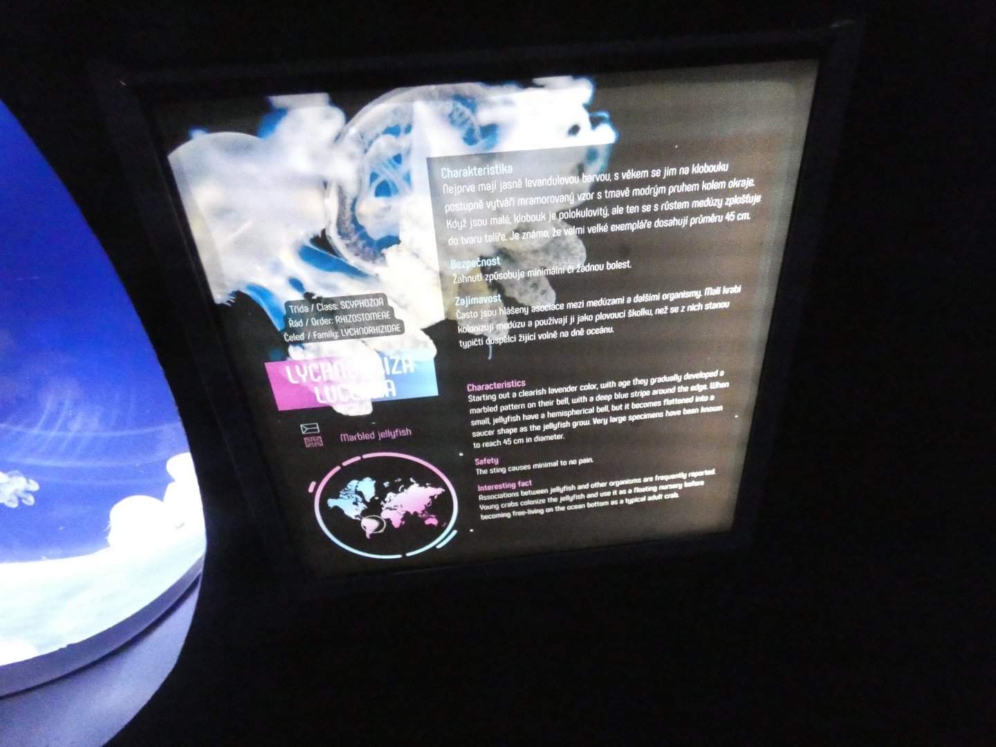 Signage style - Svět Medúz