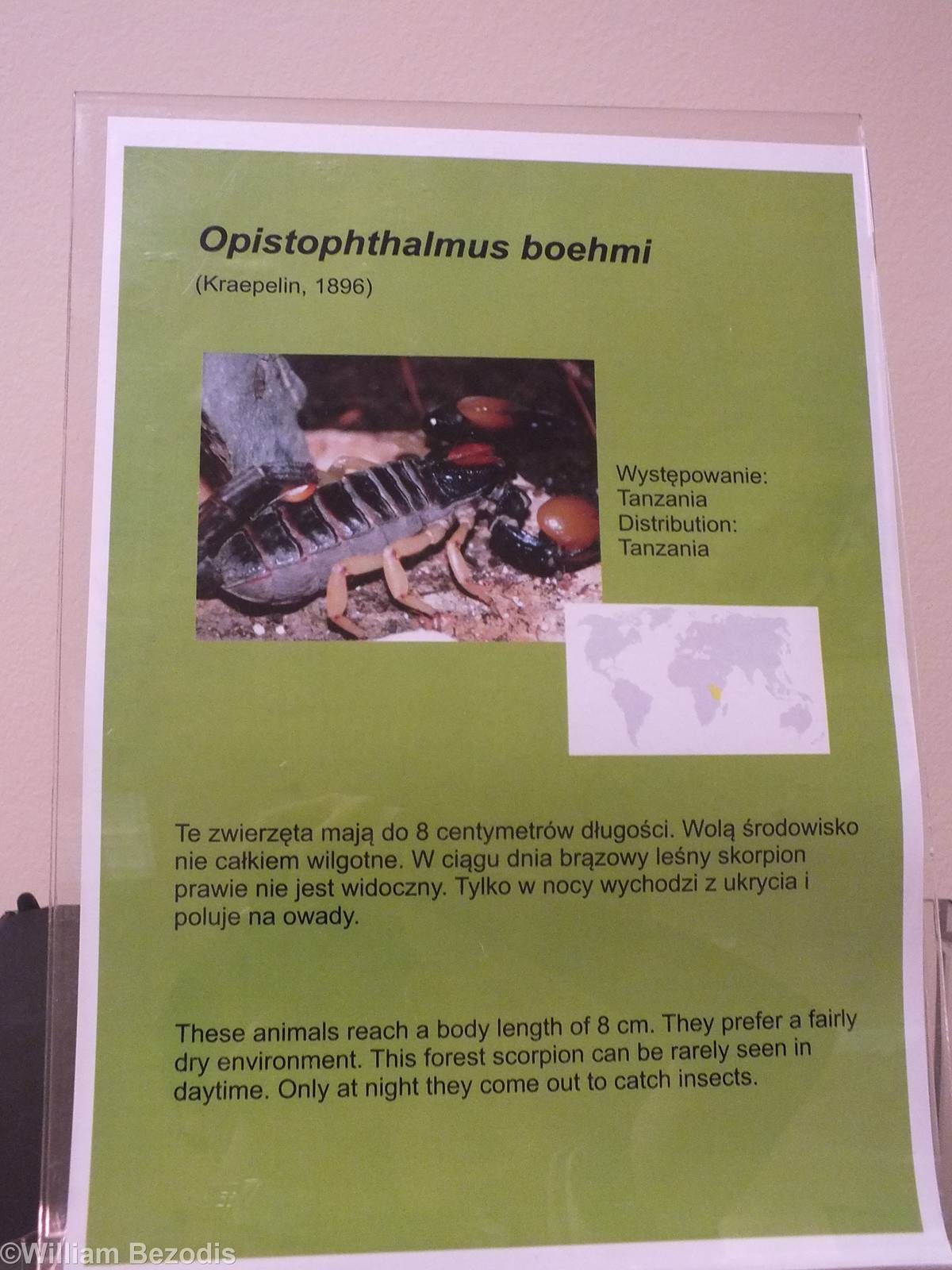 Signage Style - 'The Fascinating World of Spiders and Scorpions' Exhibit