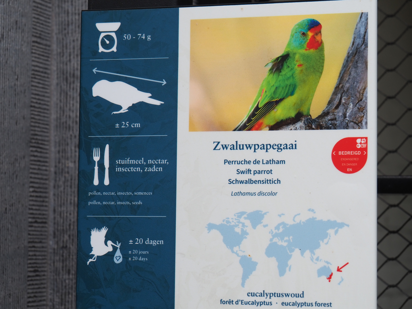 Signage Swift parrot, 2020-05-24