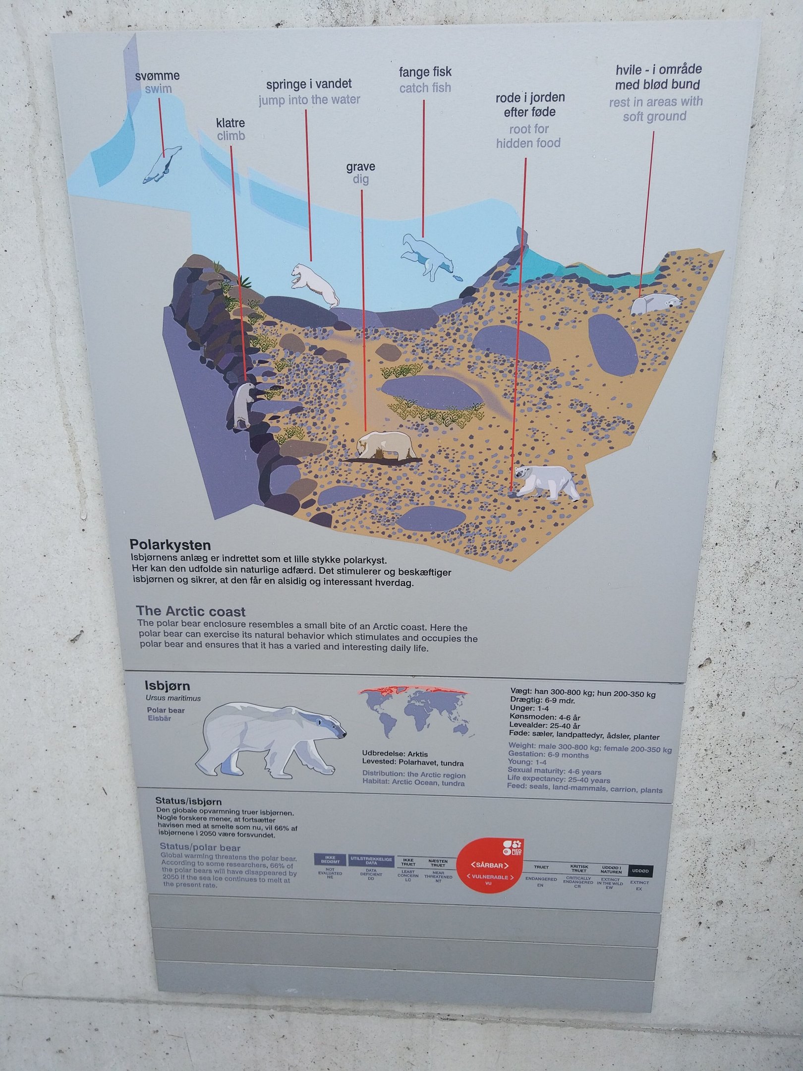 Signage - The Arctic Ring