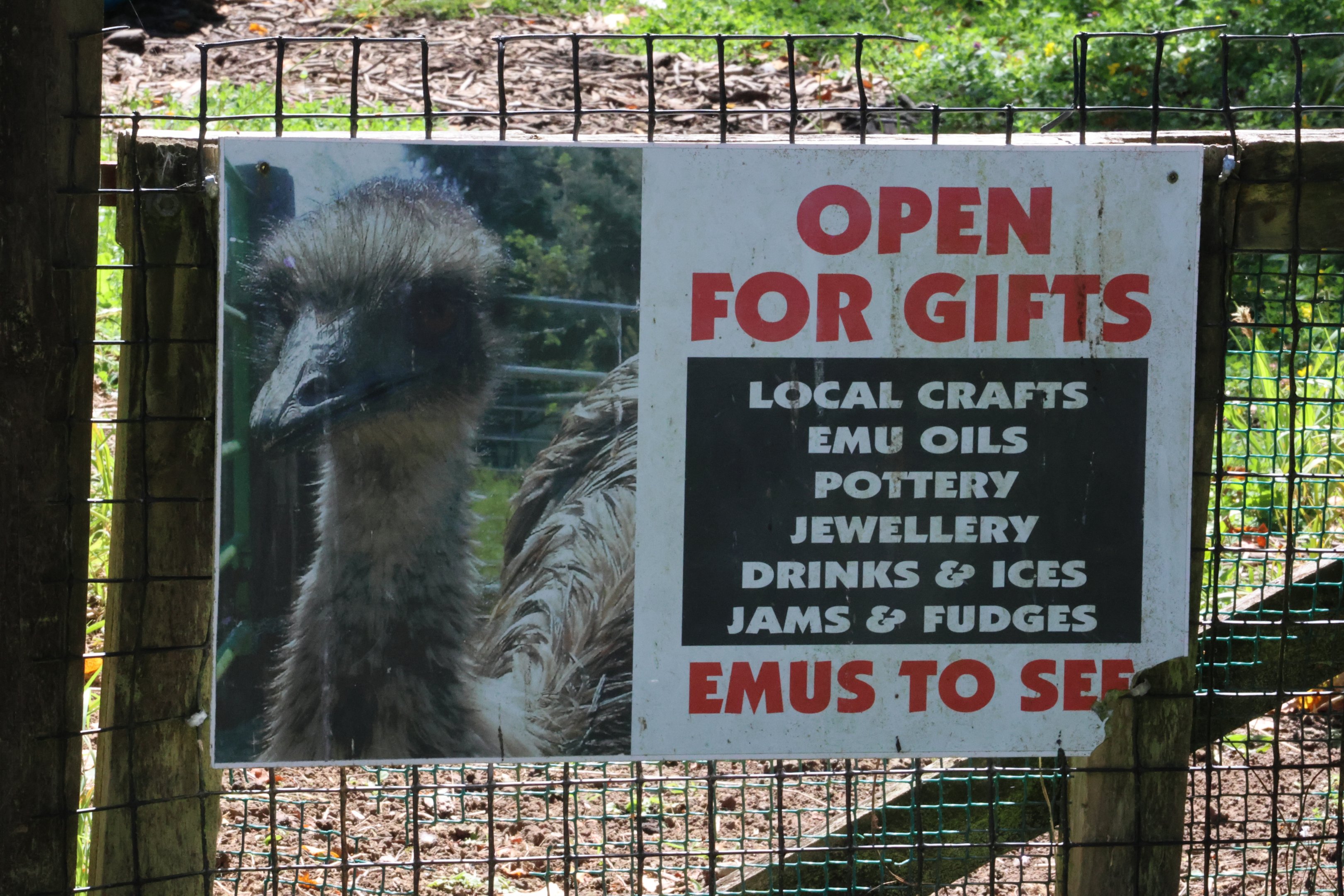 Signage to visitors, Bluebank Blueberry & Emu Farm