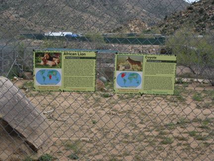 signage - unusual cohabitants