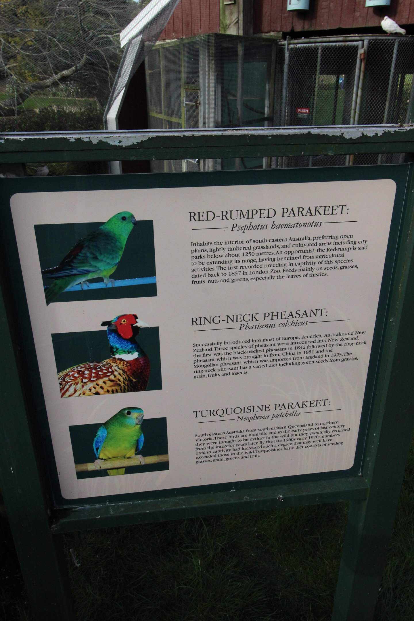 Signage, Virginia Lake Aviary