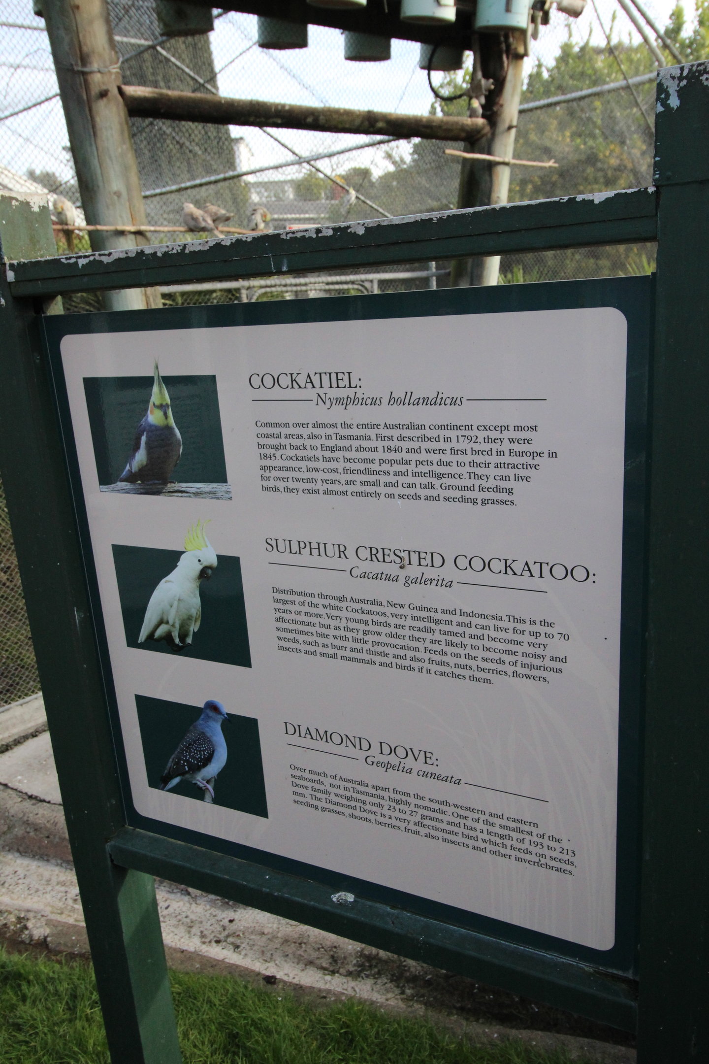 Signage, Virginia Lake Aviary