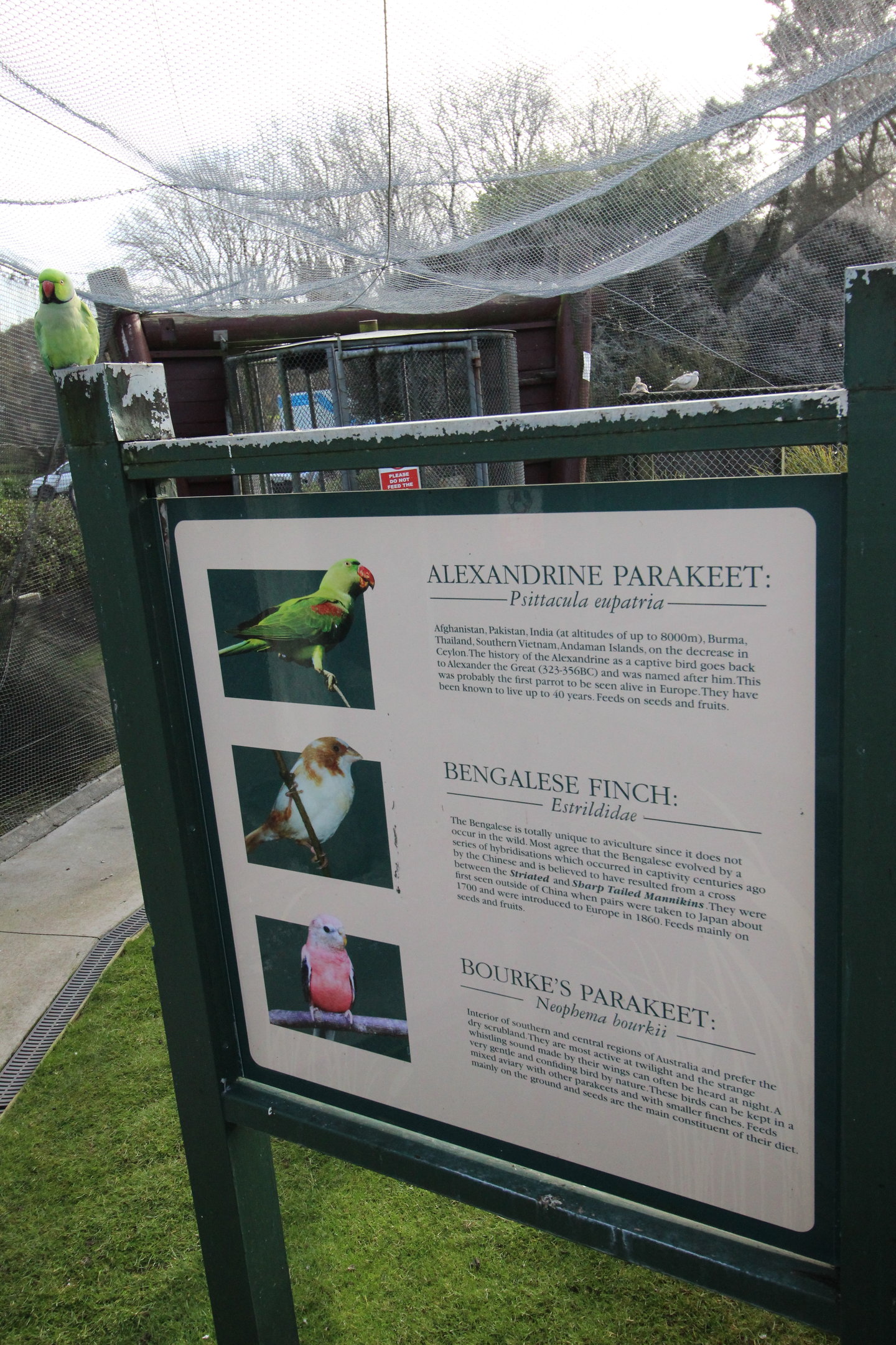 Signage, Virginia Lake Aviary