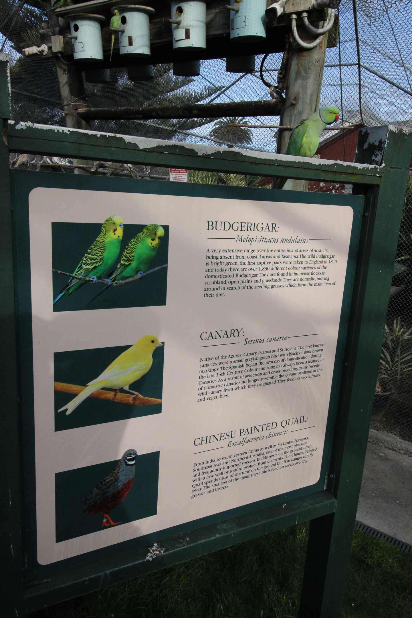 Signage, Virginia Lake Aviary