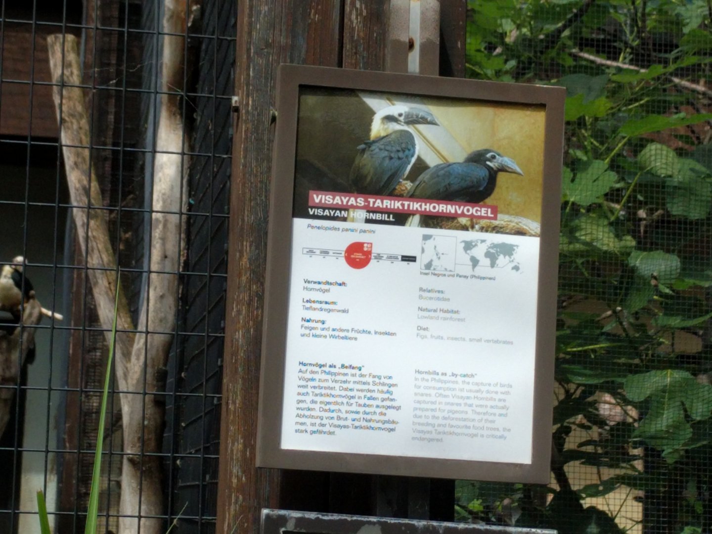 Signage Visayan Hornbill