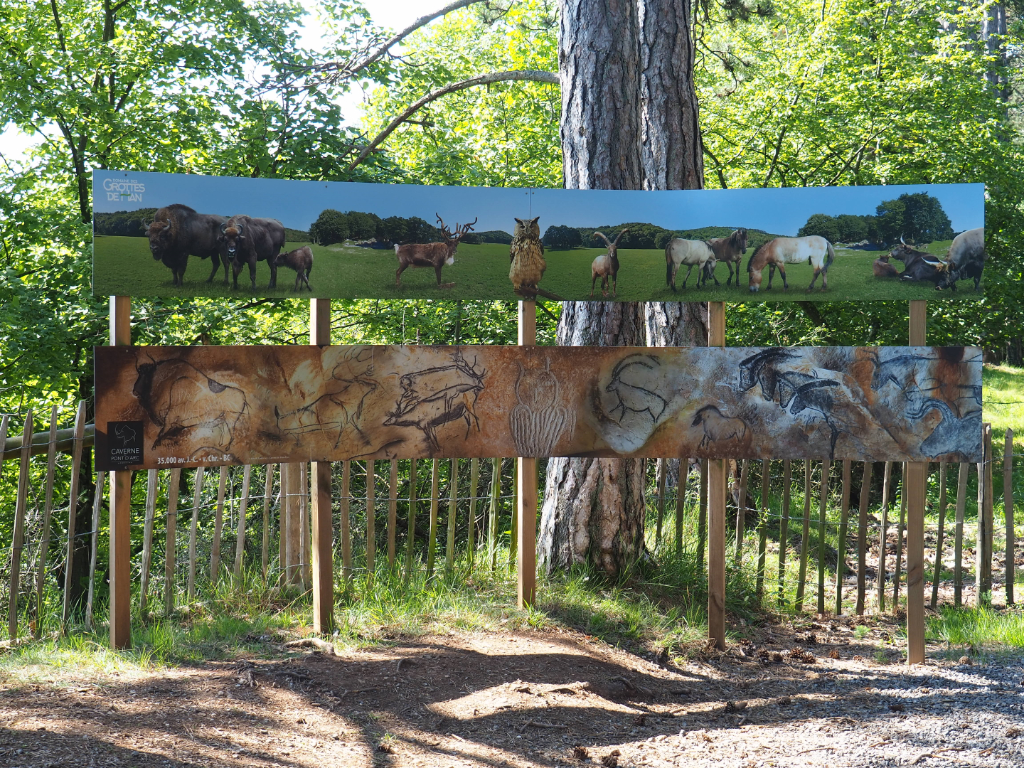 Signage with animal photos and photos of cave paintings, 2020-07-15