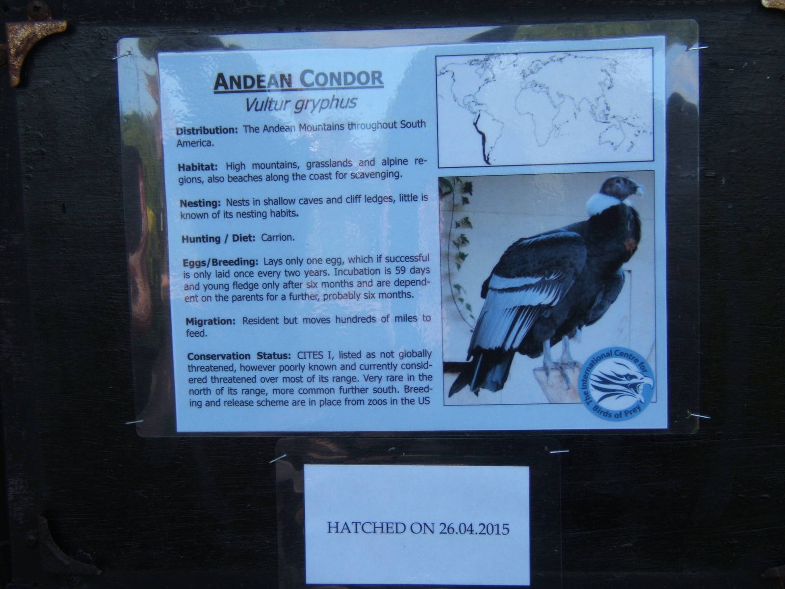 Signage with hatching news