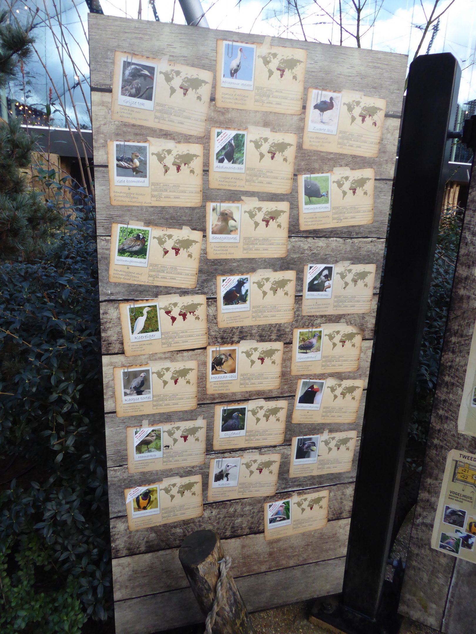 Signage within Buffalo Savanna exhibit