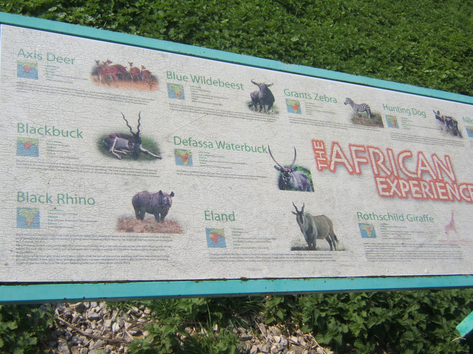 Signage