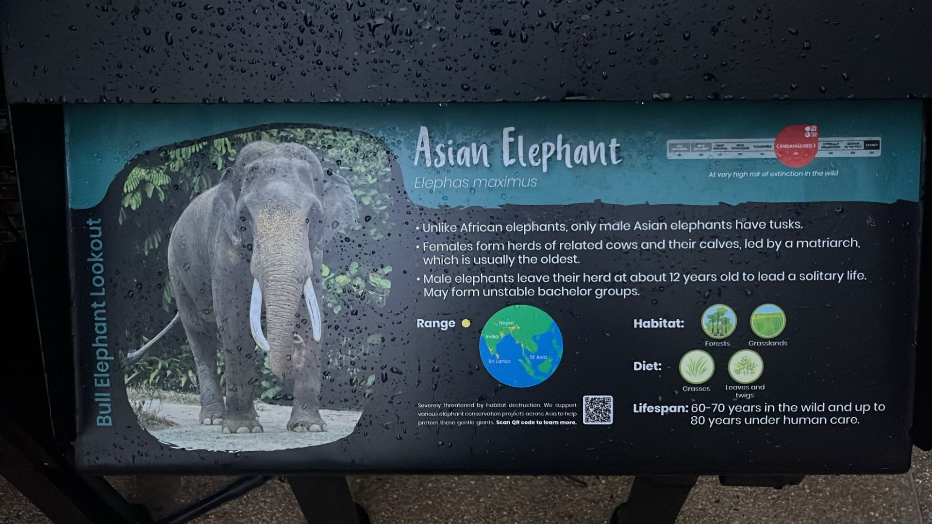 Signboard 1 - Bull Elephant Lookout