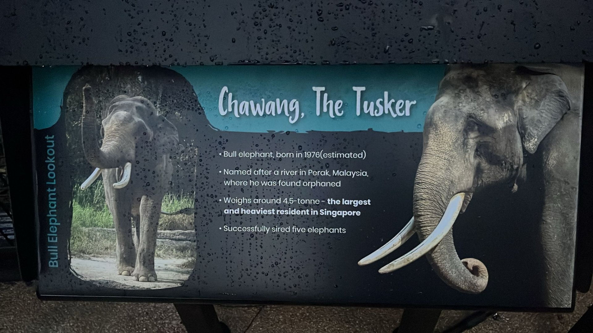 Signboard 2 - Bull Elephant Lookout