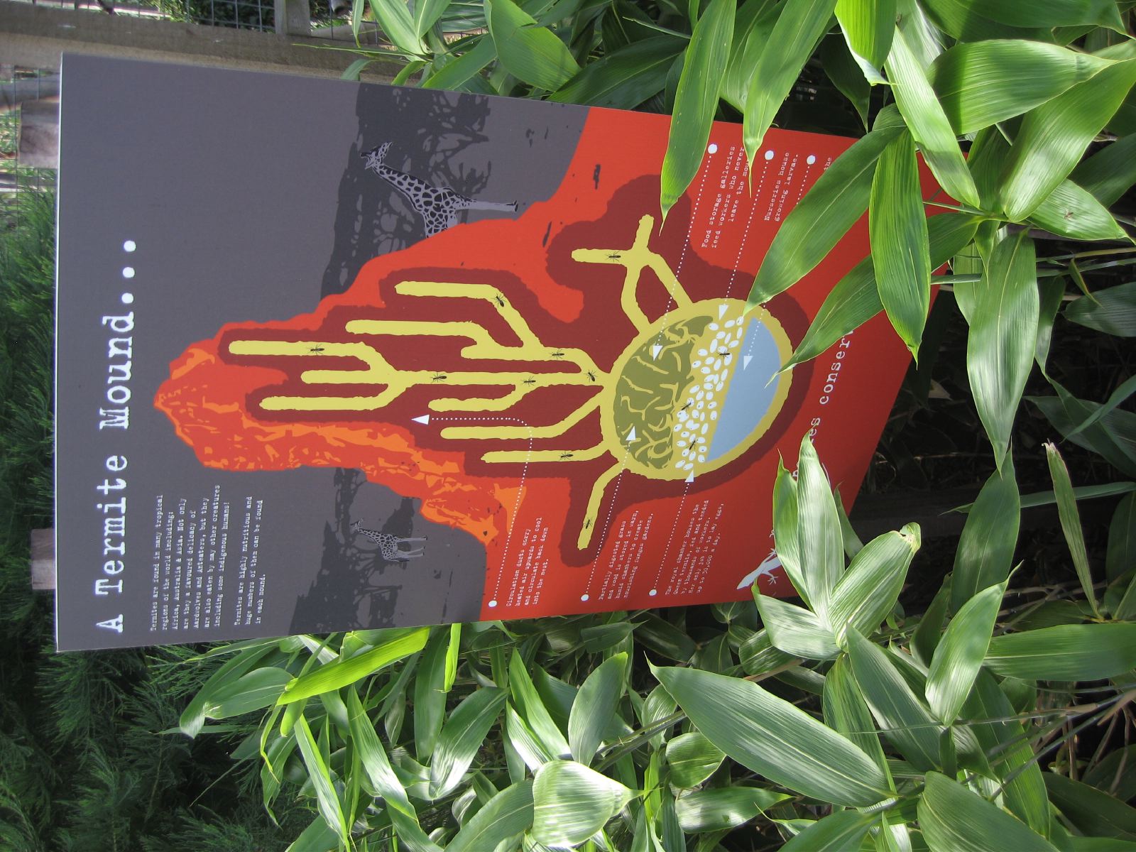 Signboard near the aardwolf enclosure.