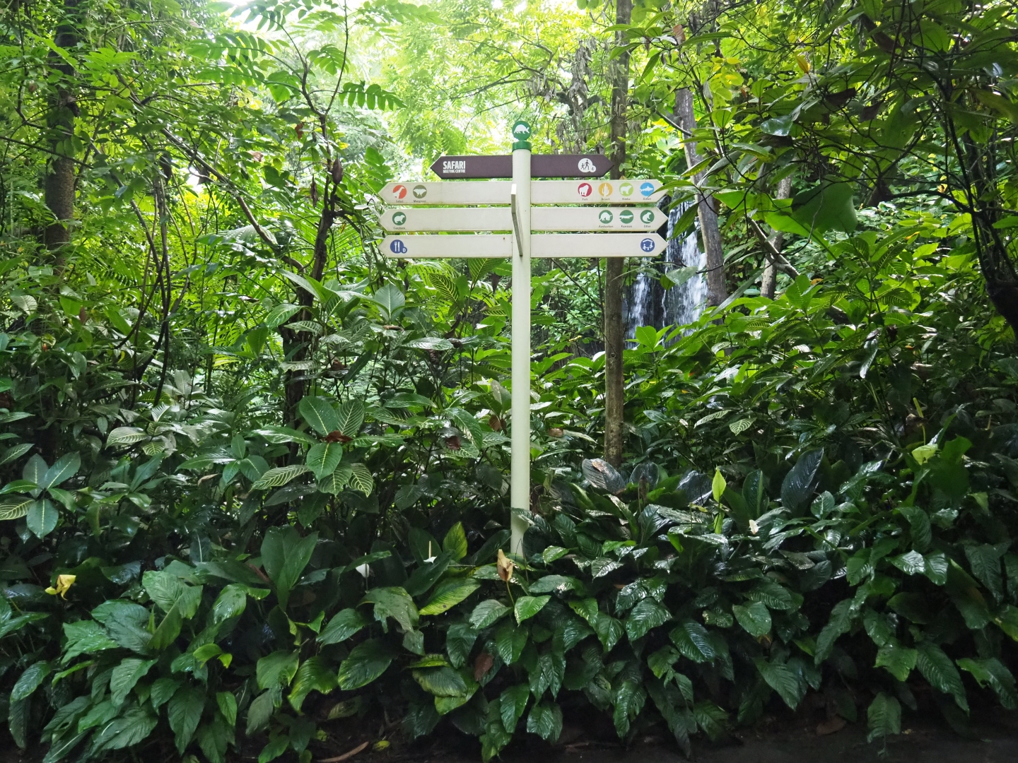 Signpost and foliage in Burgers' Bush (Sep 16th, 2018)