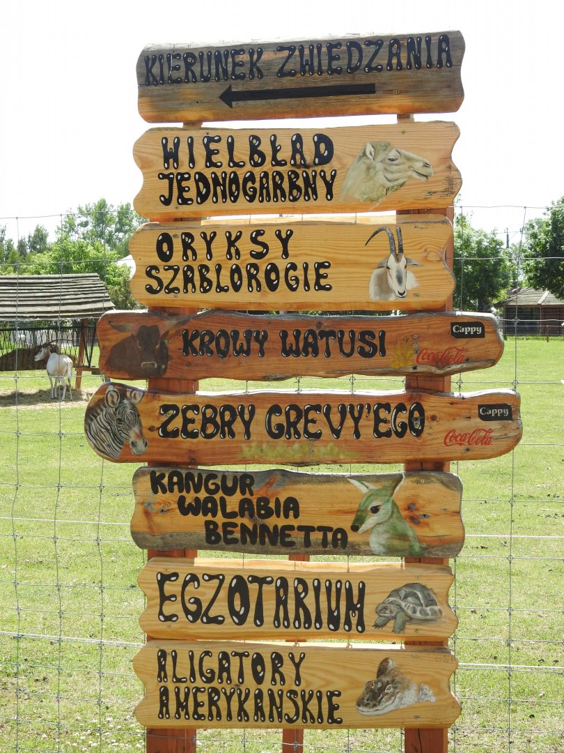signposts