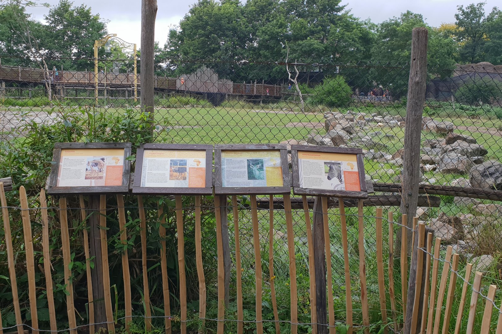 Signs African Savanna