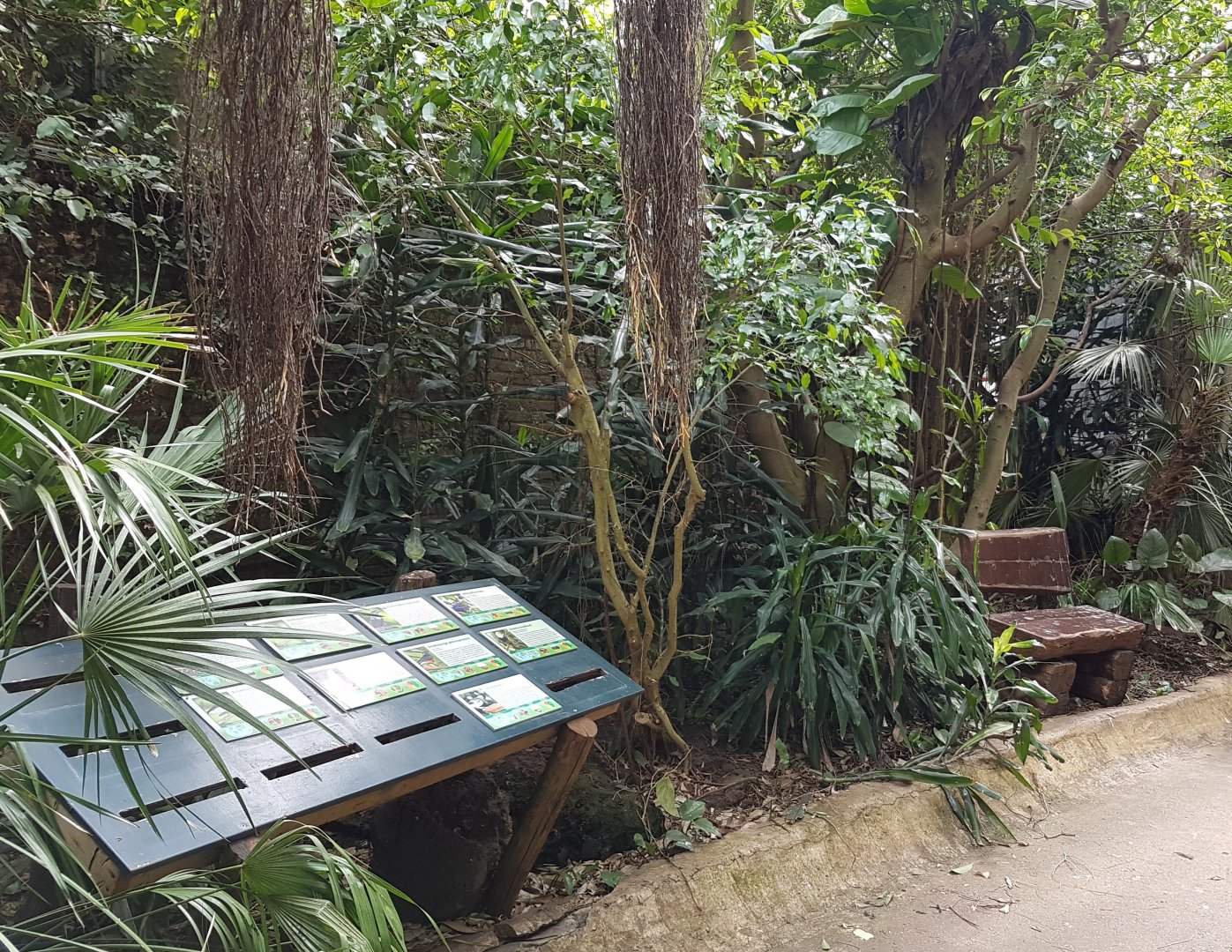 Signs African Walk-through