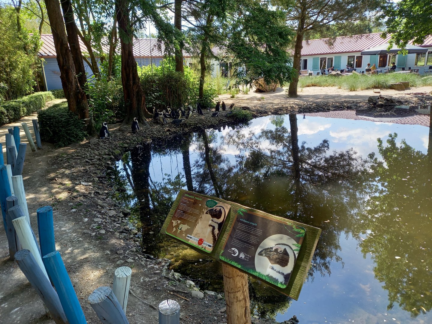 Signs and part of the Penguin-enclosure