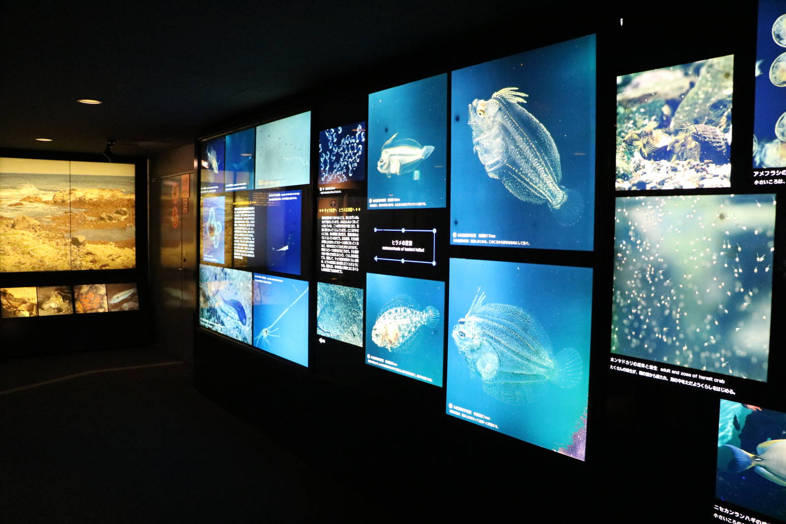 Signs and photo display - Tokyo Sea Life Park, February 2016