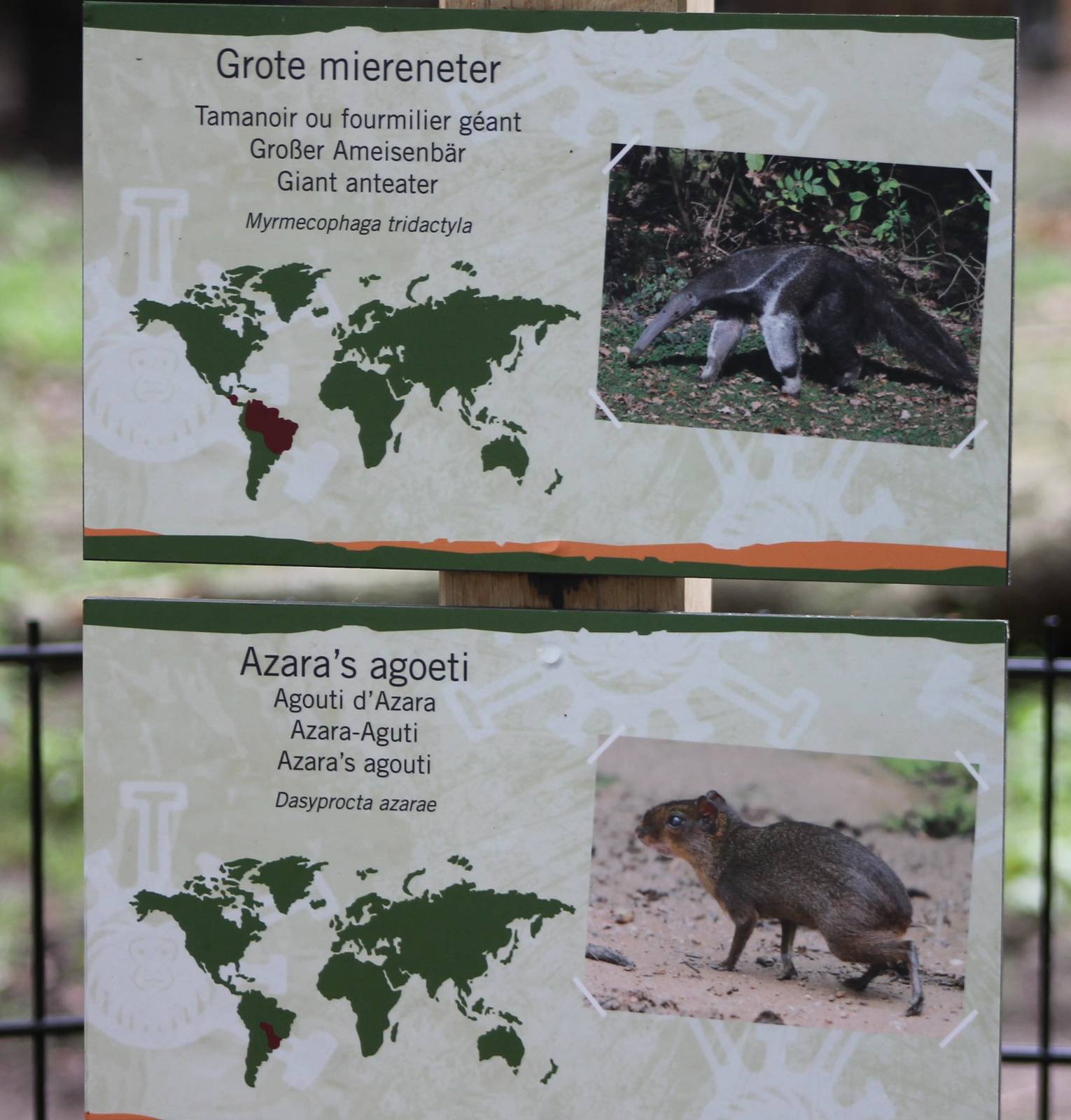 Signs Anteater and Aguti