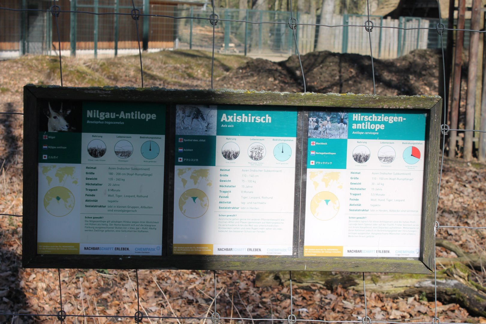 Signs Asian enclosures