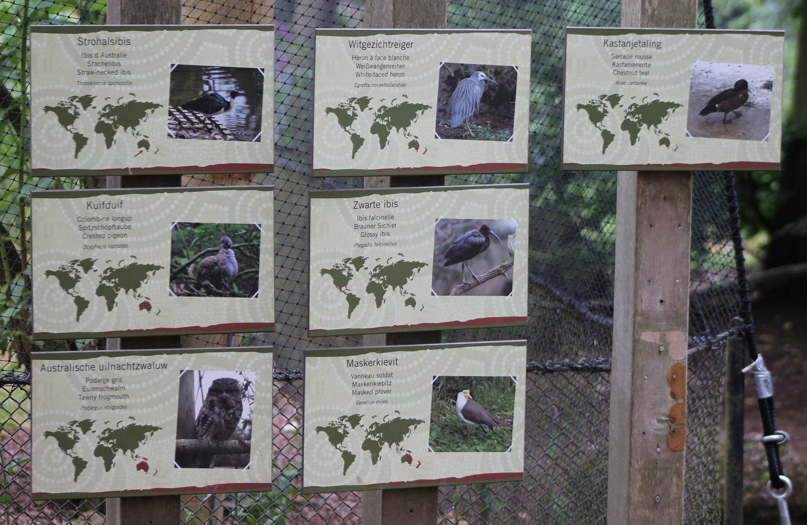 Signs Australian aviary