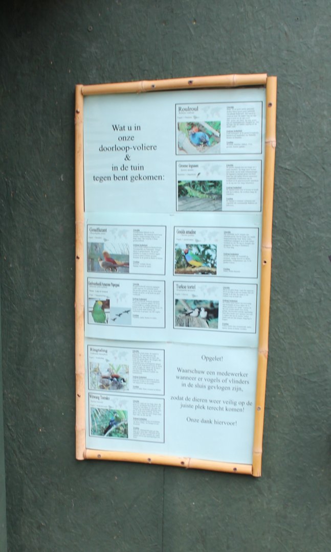 Signs birds and Iguana In the Walk-through