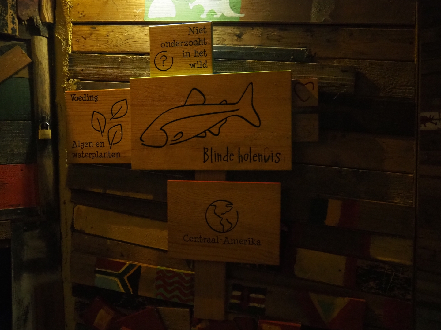 Signs blind cave fish