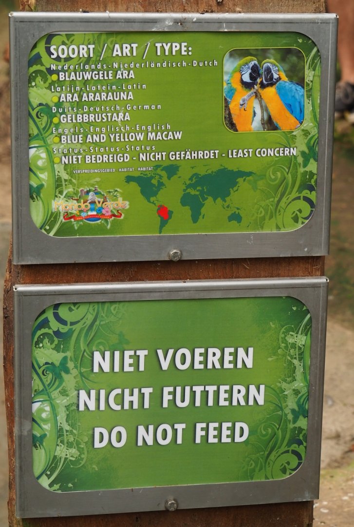 Signs Blue-and-yellow macaw and Do not feed (Aug 28th, 2018)
